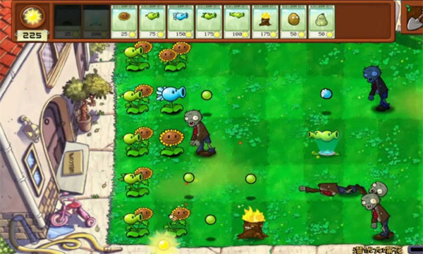 植物大战僵尸年度版