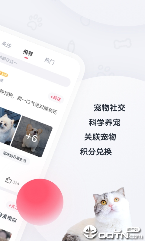 粉爪
