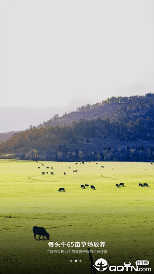 奔富牧业 奔富牧业