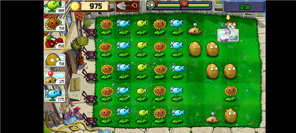 植物娘大战僵尸庄不纯手机版