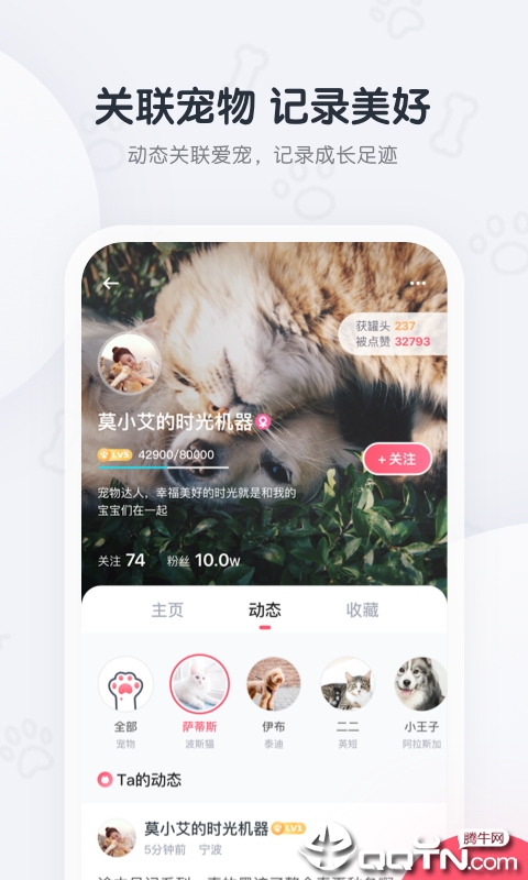 粉爪
