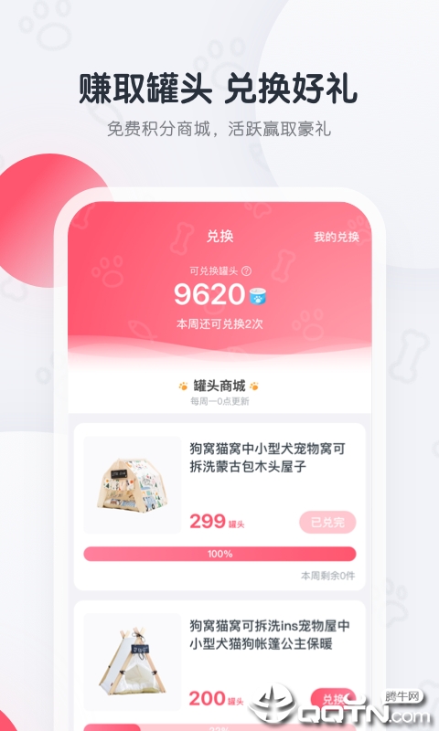 粉爪