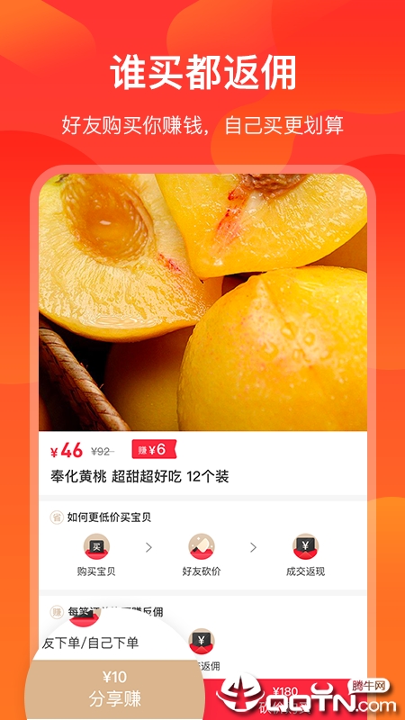 海豚零食 海豚零食
