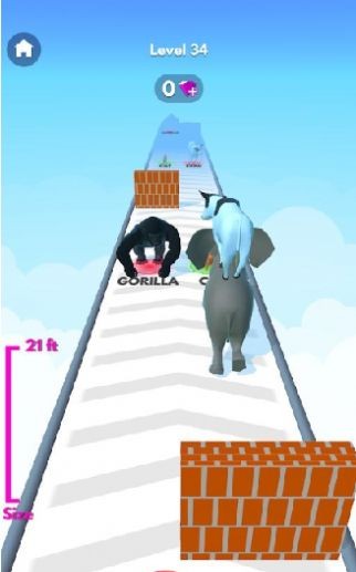 Animal Stack(动物栈跑最新版)
