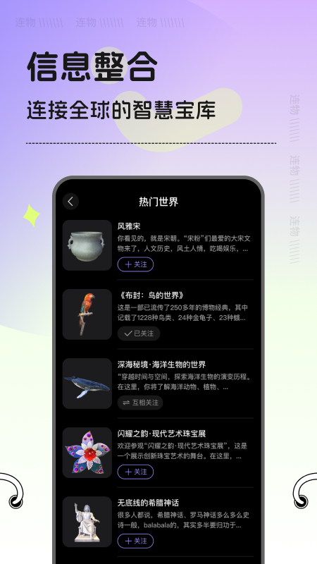 连物次元