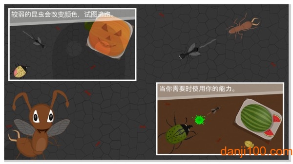 蚂蚁进化3d无限金币钻石版