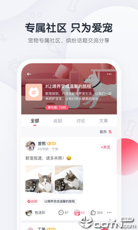 粉爪