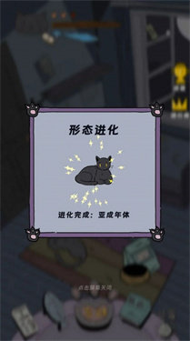 猫猫喵喵喵