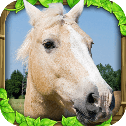 Horse Sim