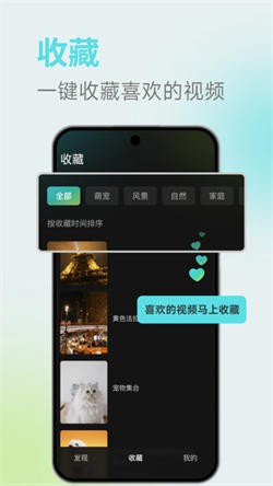 麦萌