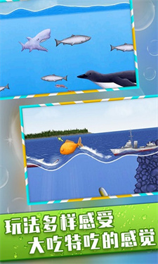 美味海洋中文版