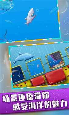 美味海洋中文版 美味海洋中文版