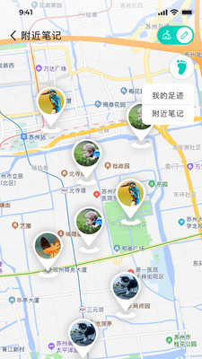 自然树