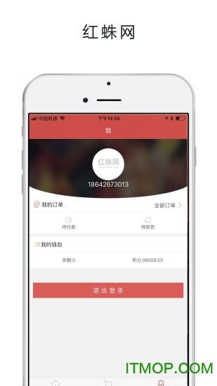 红蛛网