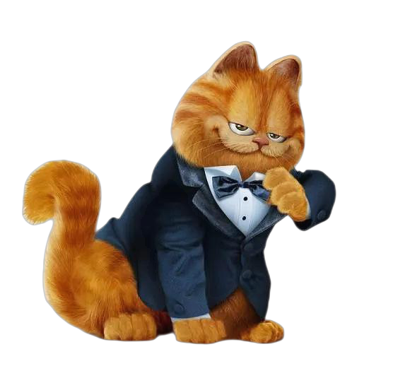 加菲猫影视官方本安卓版