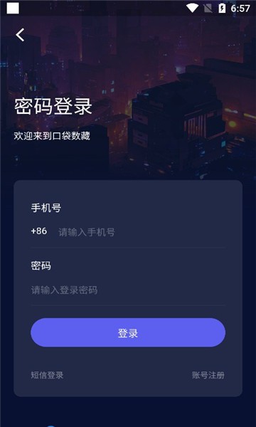 口袋数藏