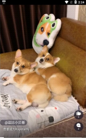 火火聚看 火火聚看