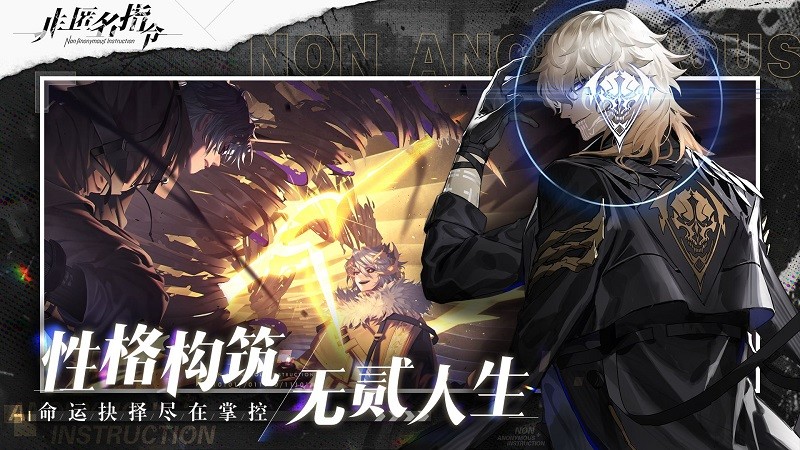 非匿名指令官网