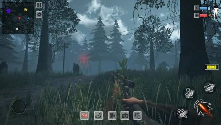 Bigfoot Hunting