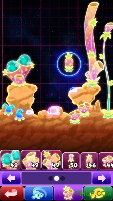 超级星鱼官网版