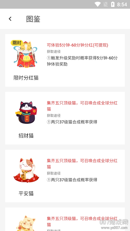 小猫百变 小猫百变