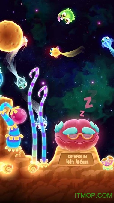 超级星鱼官网版