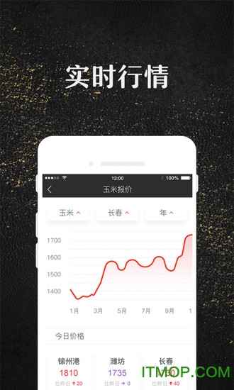 玉米宝 玉米宝