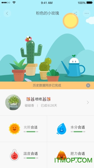 小米花花草草