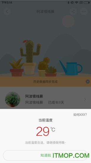 小米花花草草