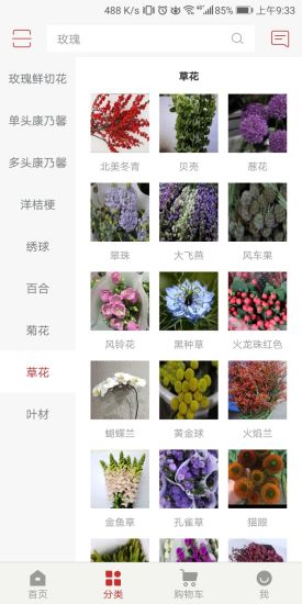 青怡坊花卉