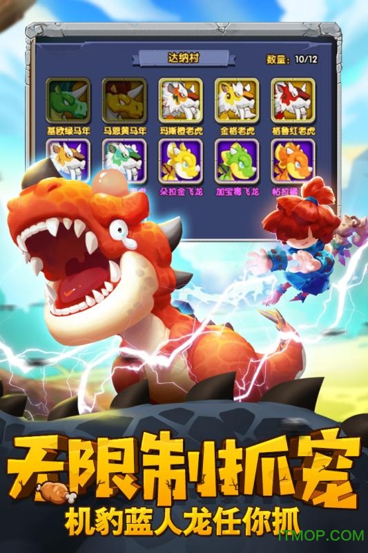 宠物起源 宠物起源