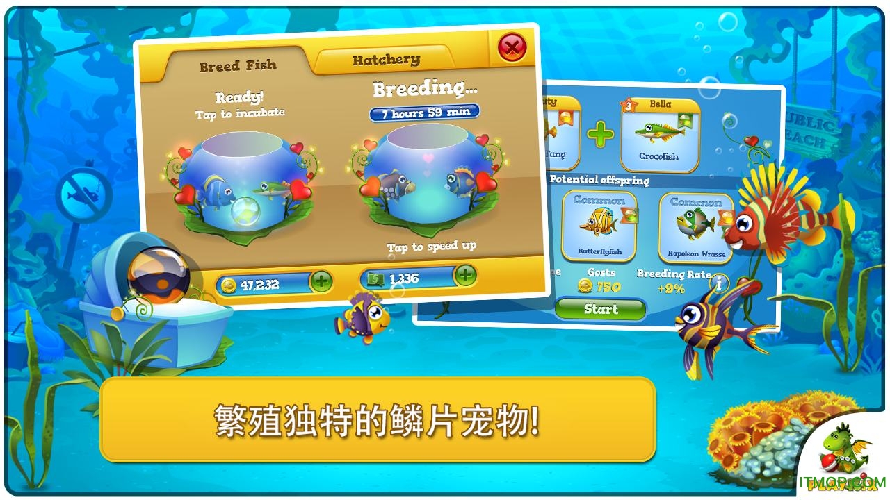 口袋水族馆无限金币版(Pocket Fishdom)