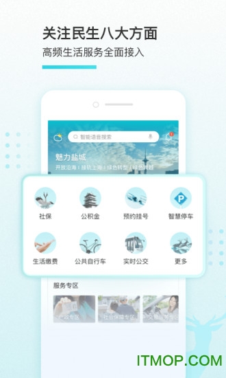 我的盐城