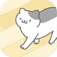 猫咪很可爱