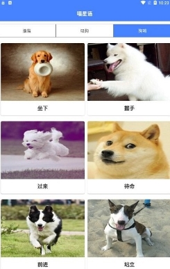 猫狗翻译器