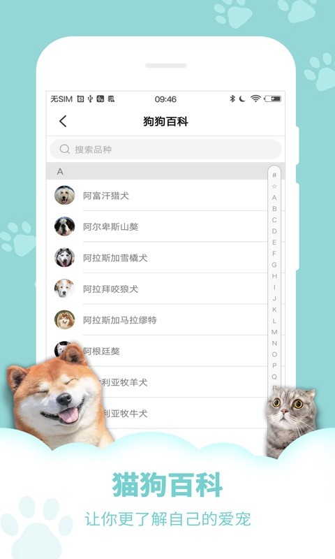语言翻译器
