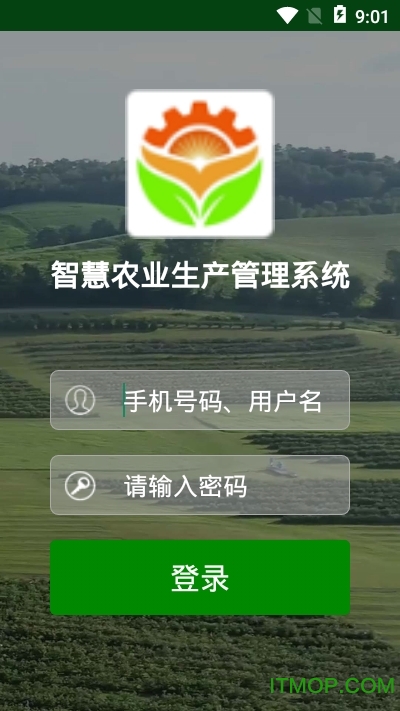 生产队布谷鸟