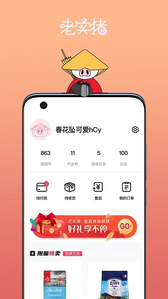 老实猪
