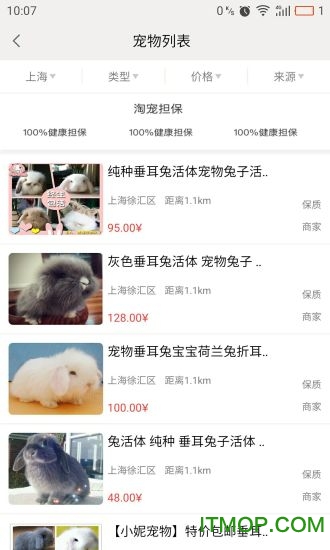淘宠网