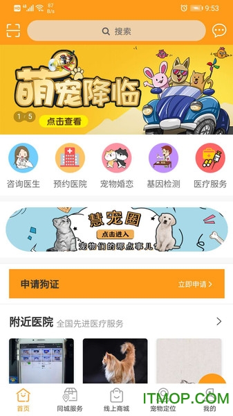 慧宠