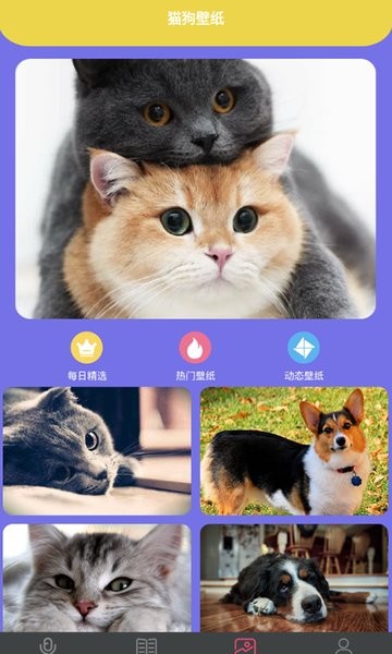 拆家特工队