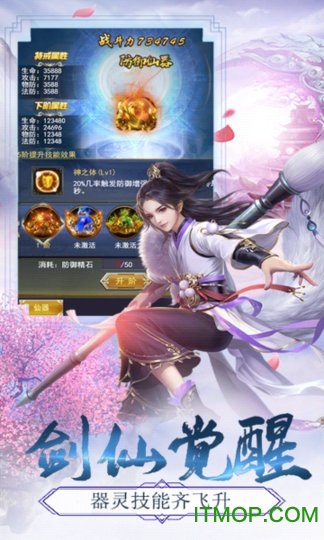 剑踪情缘