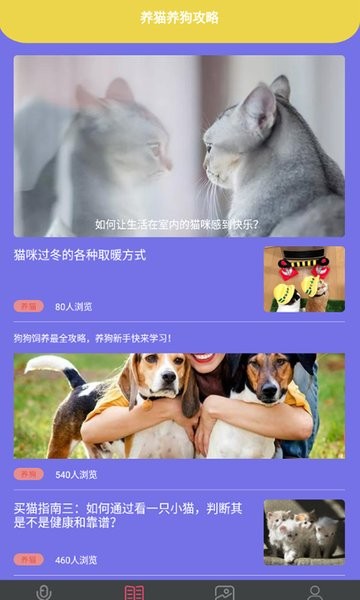 拆家特工队