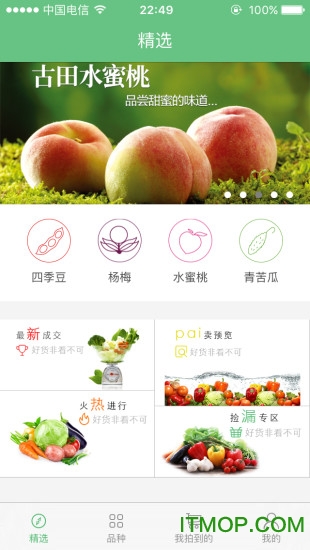 侬拍拍