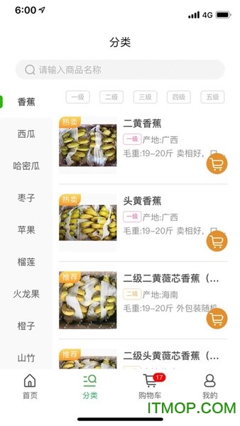 三为果业