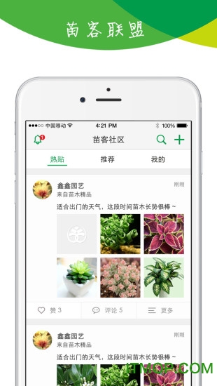 苗木宝