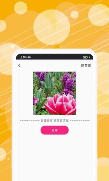 动态表情包制作