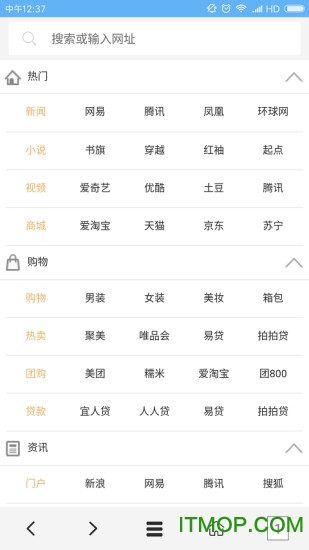 VIP浏览器