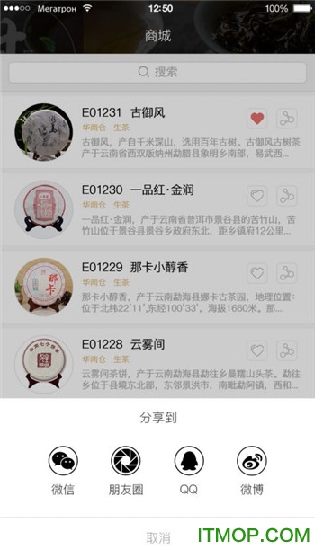 小茶宝