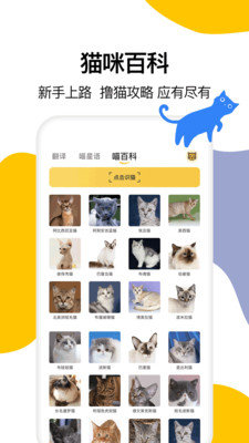 翻译大全